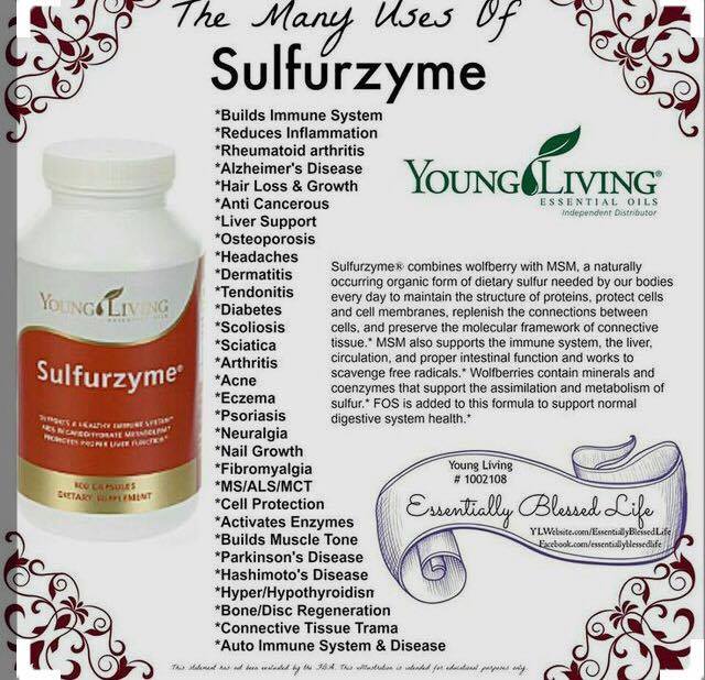 18386545_1456766627677762_1273624832_n