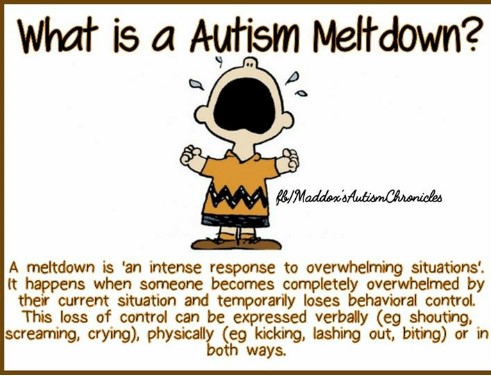 what-is-a-autism-meltdown-a-meltdown-is-an-intense-5746676 (2)